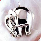 The Rollie Pollie Elephant - Cazenovia Abroad