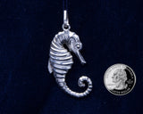 The Sea Horse - Cazenovia Abroad