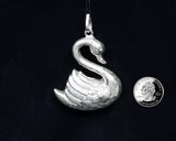 The Swan - Cazenovia Abroad